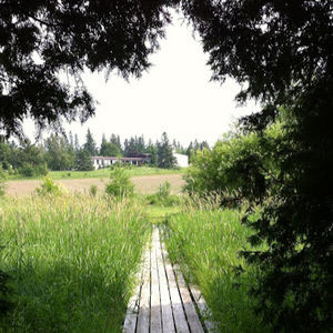 Meet your Posher, Patrick